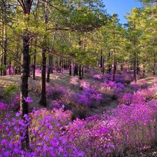 Схема вышивки «№2119751»