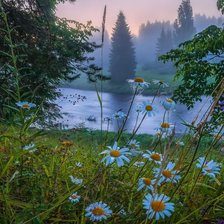 Схема вышивки «№2119764»