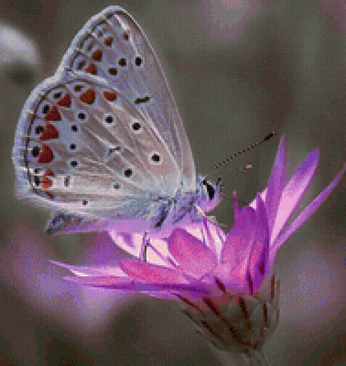 №2119765 - предпросмотр