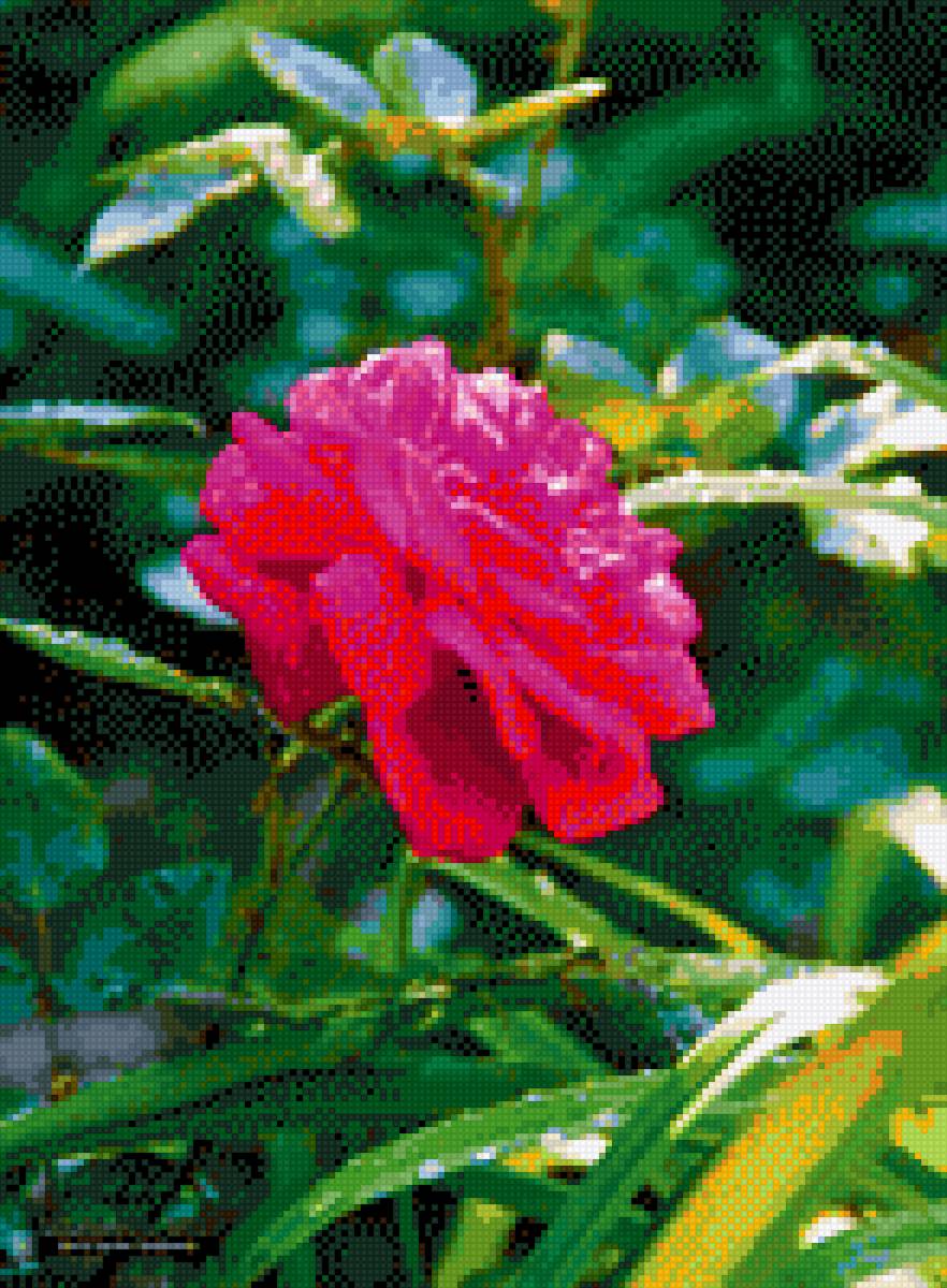 №2119768 - предпросмотр