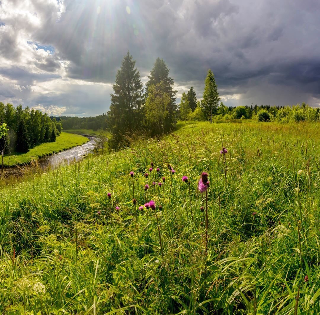 №2119779 - оригинал