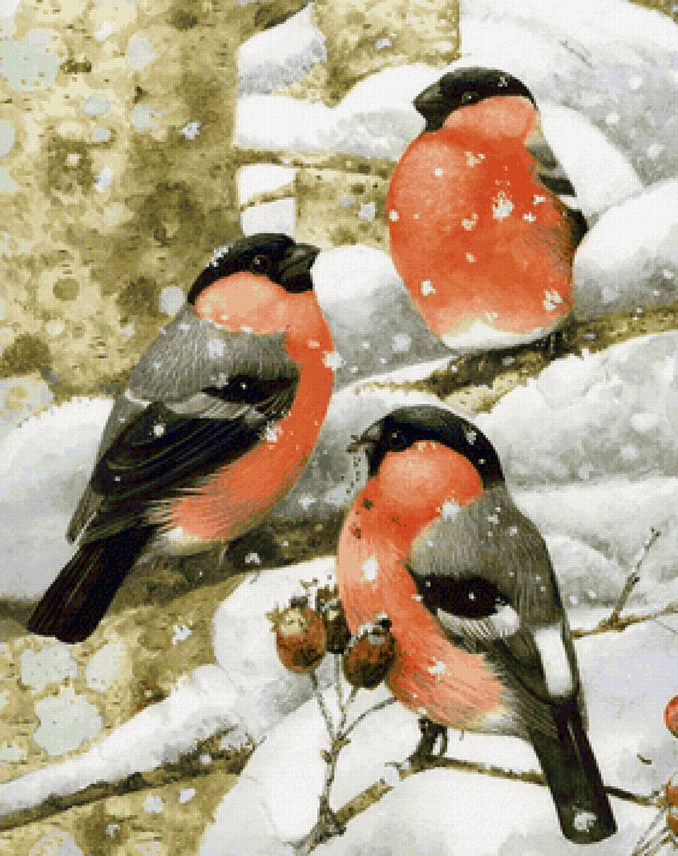 птицы - предпросмотр