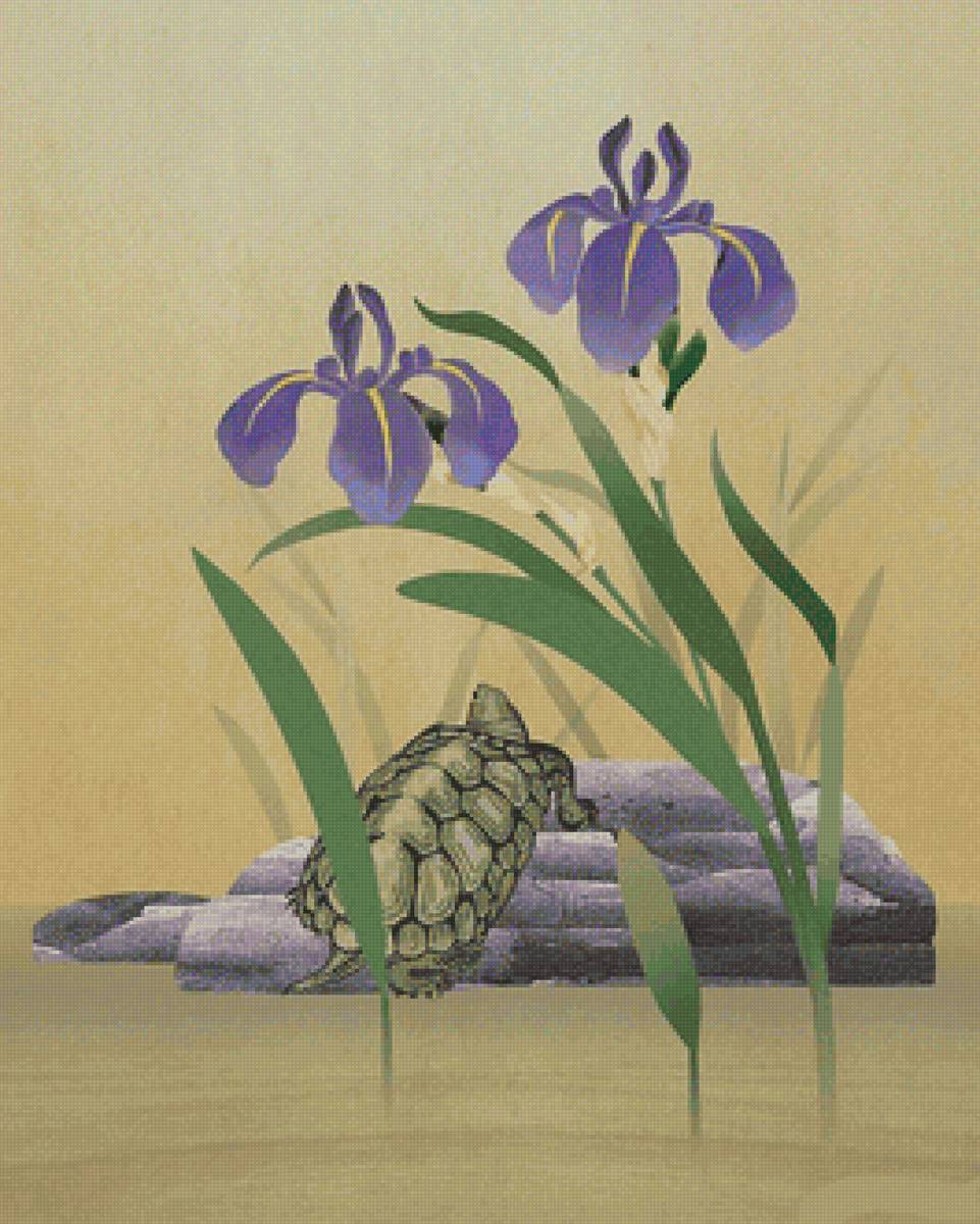 Черепаха - предпросмотр