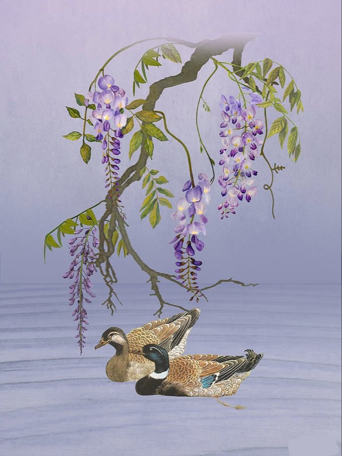 Утки - оригинал