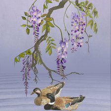 Схема вышивки «Утки»