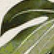 Предпросмотр схемы вышивки «листья» (№2120208)