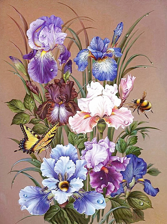 Серия "Ирисы". Ирисы - цветы, флора, бабочка, ирисы, шмель - оригинал