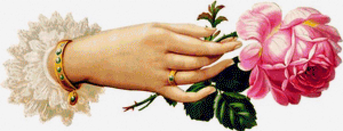 Винтажная открытка - ретро, роза, рука - предпросмотр