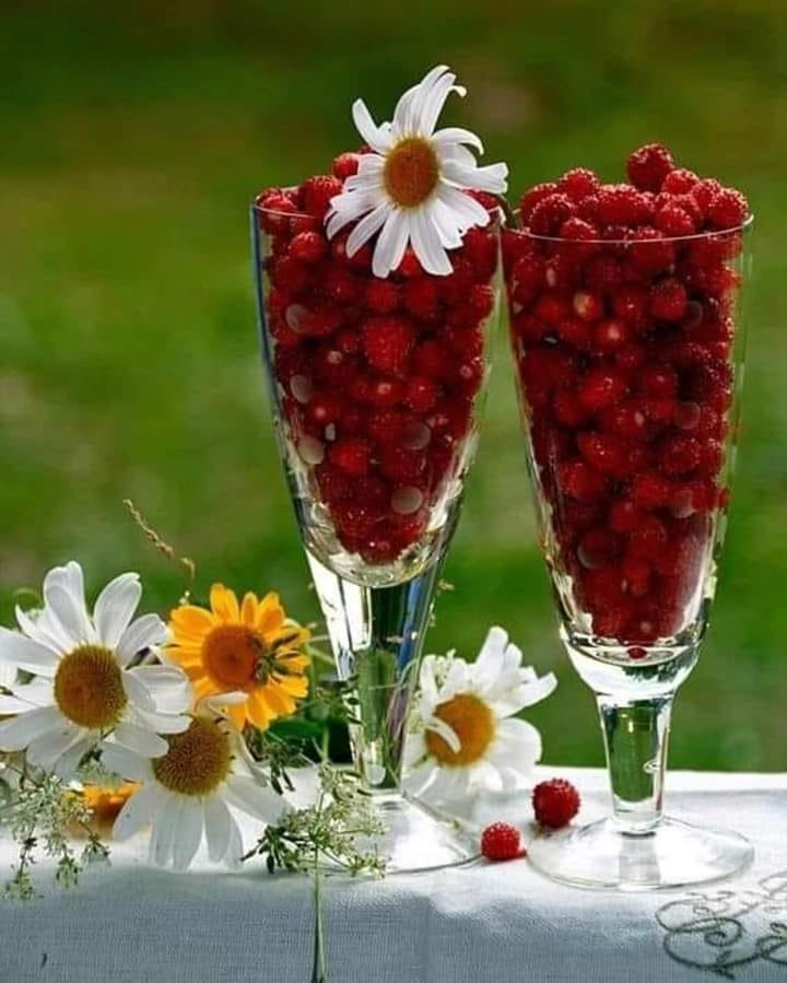 натюрморт - ромашки, малина, цветы - оригинал