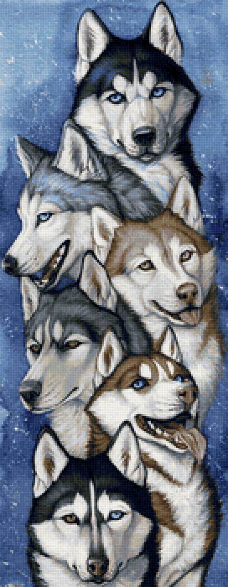 панелька - предпросмотр