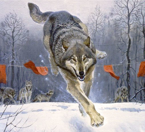 №2122260 - волки, лес, охота, зима - оригинал