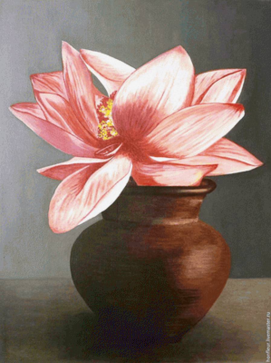 Лотос - цветы, природа - предпросмотр