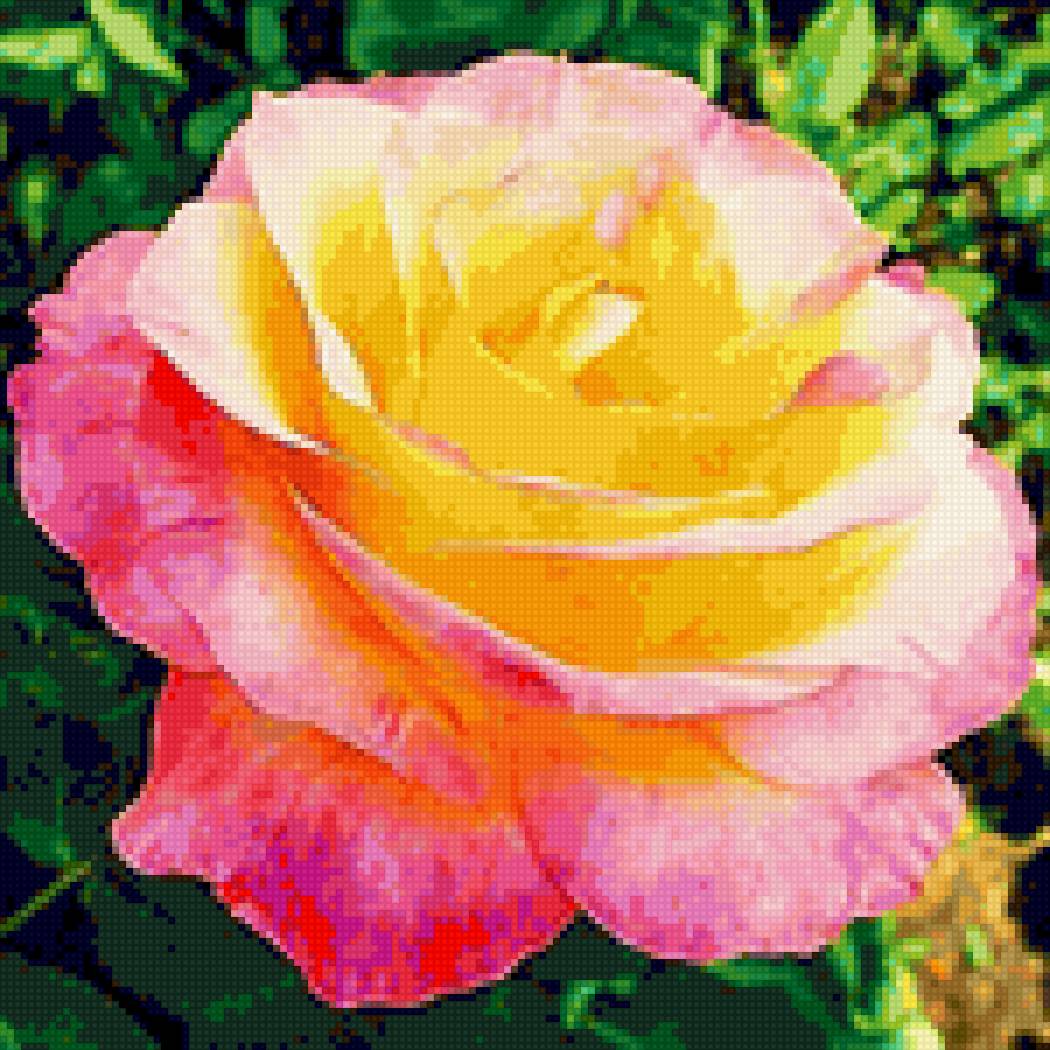 Роза - предпросмотр