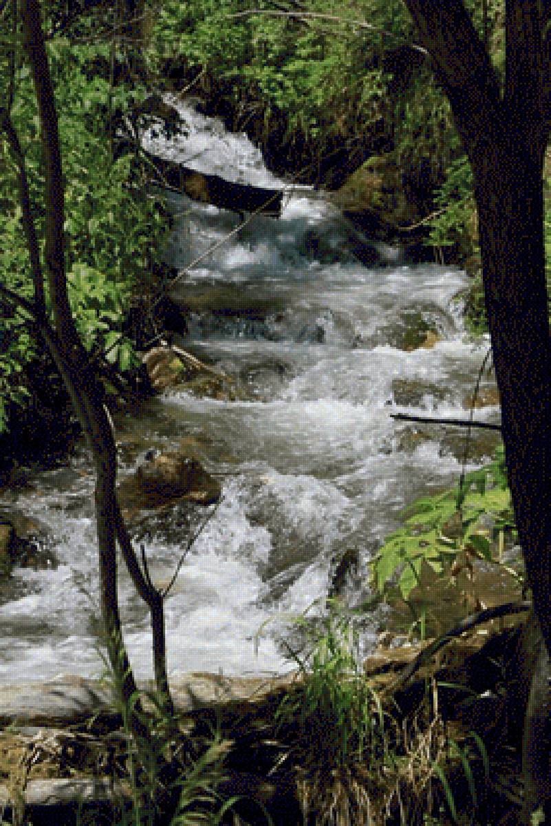 Горная река - пейзаж, лес, природа, река - предпросмотр