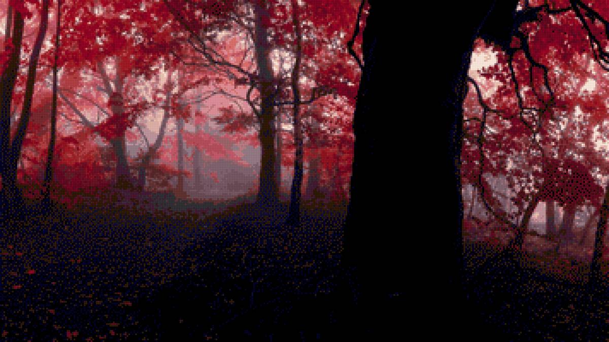 лес - лес - предпросмотр