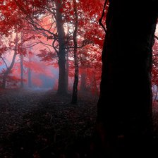 Схема вышивки «лес»