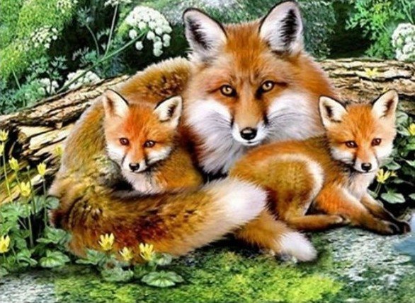 Лиса и лисенок - животные - оригинал