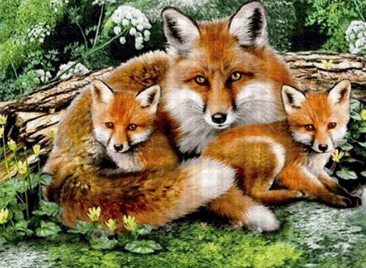 Лиса и лисенок - животные - предпросмотр