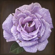 Схема вышивки «Роза»