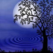 Схема вышивки «Небесне відлуння»