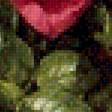 Предпросмотр схемы вышивки «розы» (№2123449)