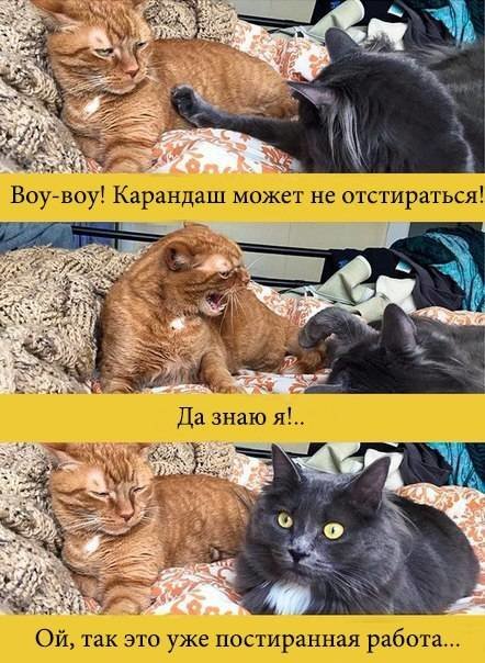 рукоделие - вышивка - оригинал