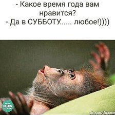 Схема вышивки «отдых»