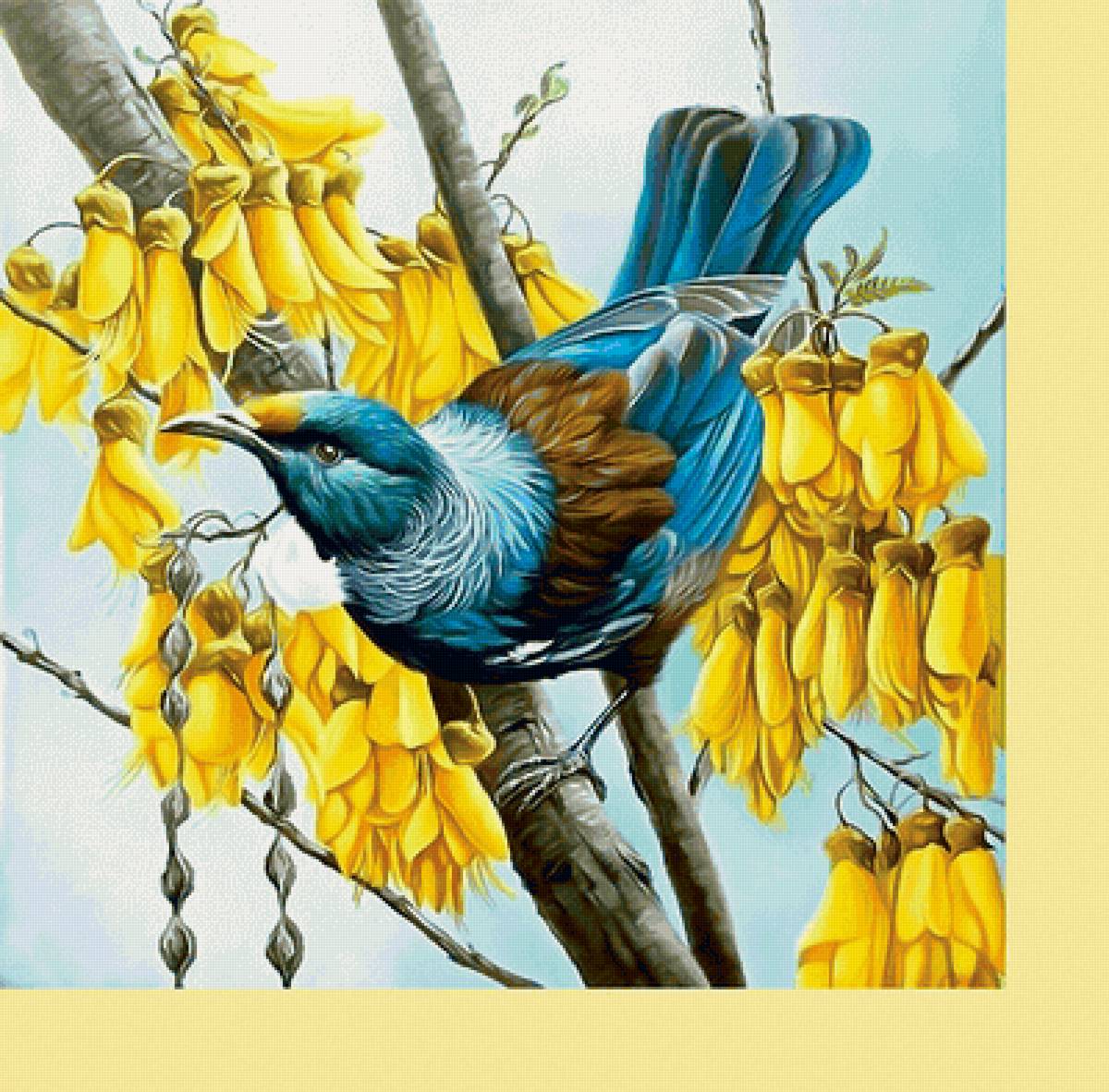 Серия "Птицы" - птицы, фауна - предпросмотр