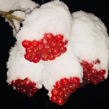 Оригинал схемы вышивки «Калина красная» (№2123995)