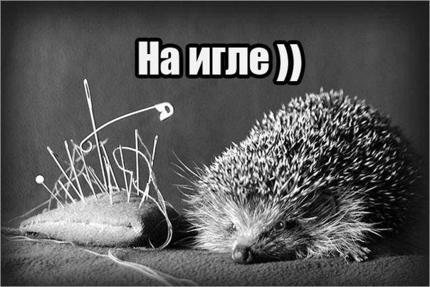 рукоделие - вышивка - оригинал