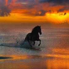 Схема вышивки «Конь»