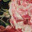 Предпросмотр схемы вышивки «розы» (№2124437)
