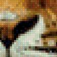 Предпросмотр схемы вышивки «взгляд тигра» (№2124454)