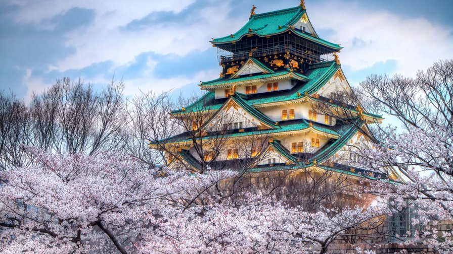 Сакура - пагода, весна, япония, сакура - оригинал