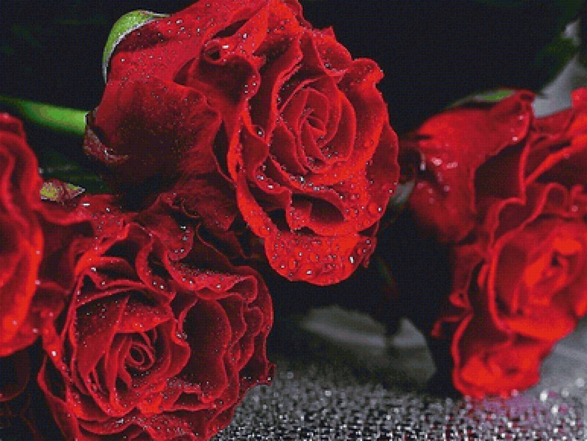 №2124528 - предпросмотр