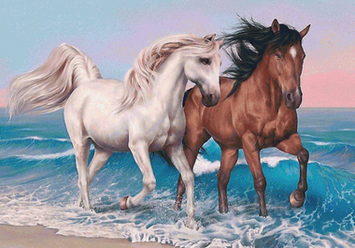 кони - предпросмотр