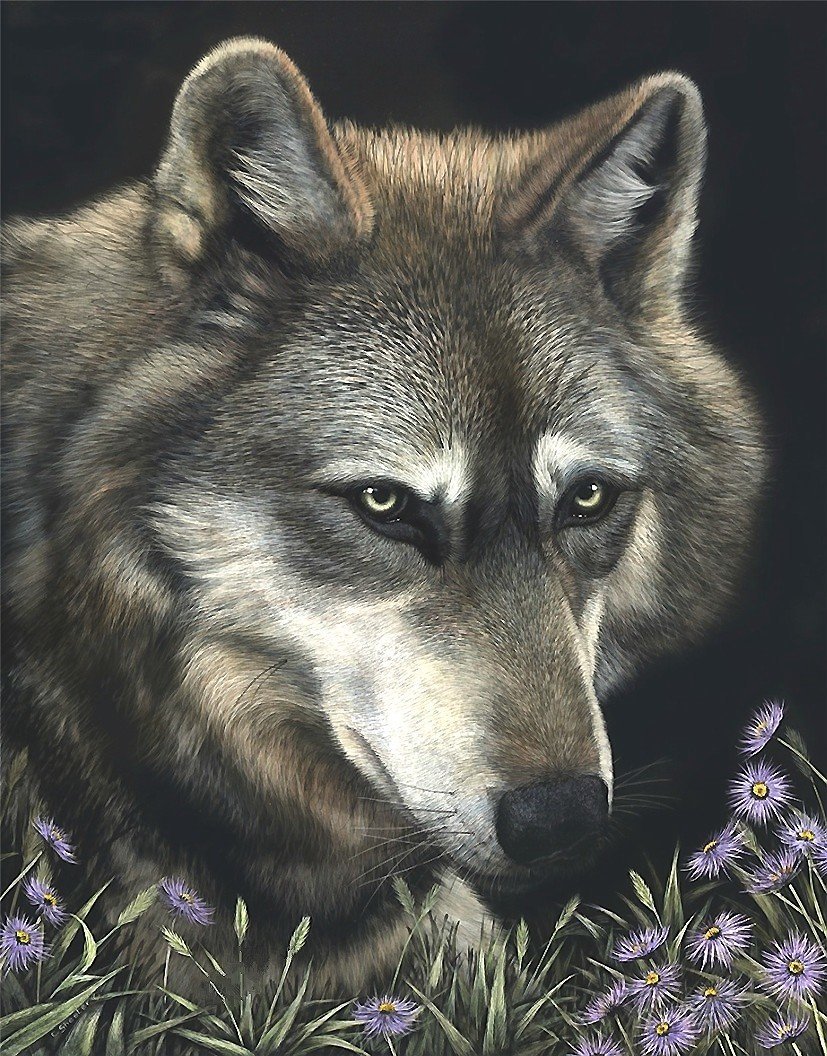 волк - оригинал