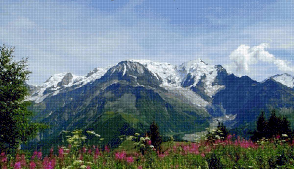Горный пейзаж - природа, пейзаж, цветы, горы - предпросмотр