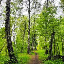 Схема вышивки «№2125412»