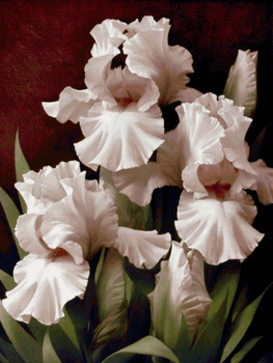 цветы - предпросмотр