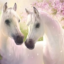 Схема вышивки «пара белых»