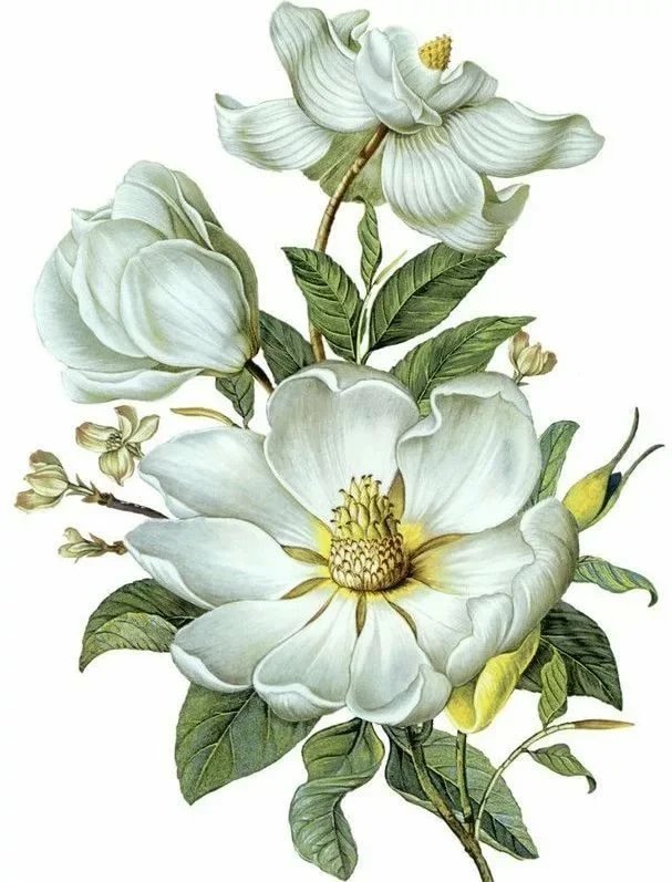 №2125880 - оригинал