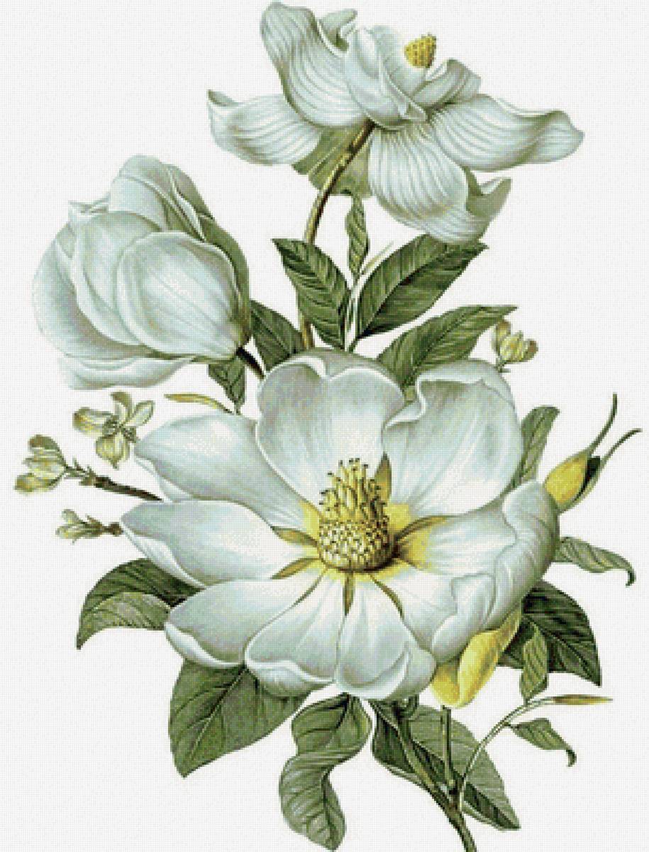 №2125880 - предпросмотр