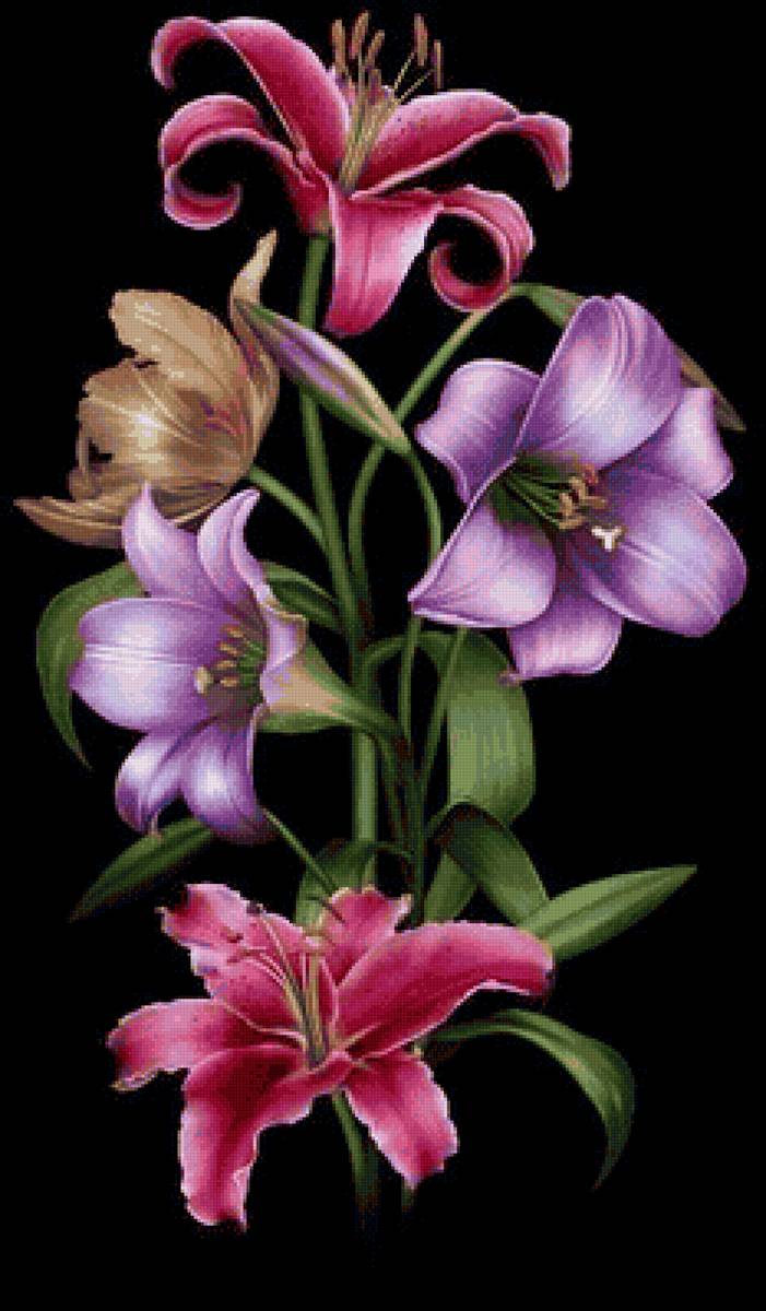 №2125881 - предпросмотр