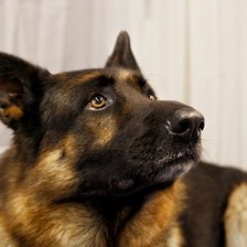 Схема вышивки «Взгляд»