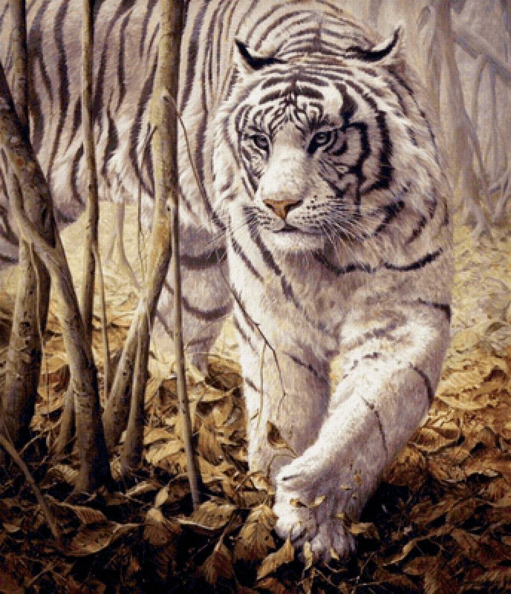 Мир животных - тигр, лес, животное - предпросмотр