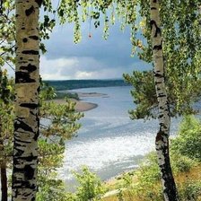 Схема вышивки «№2126657»