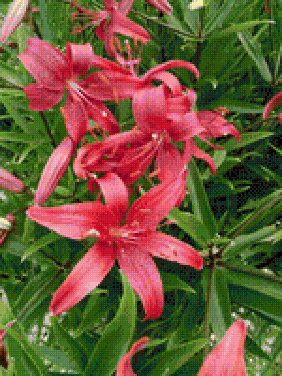 №2126660 - предпросмотр