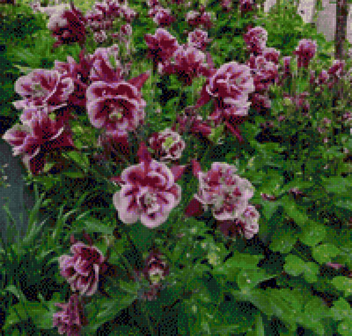 №2126674 - предпросмотр