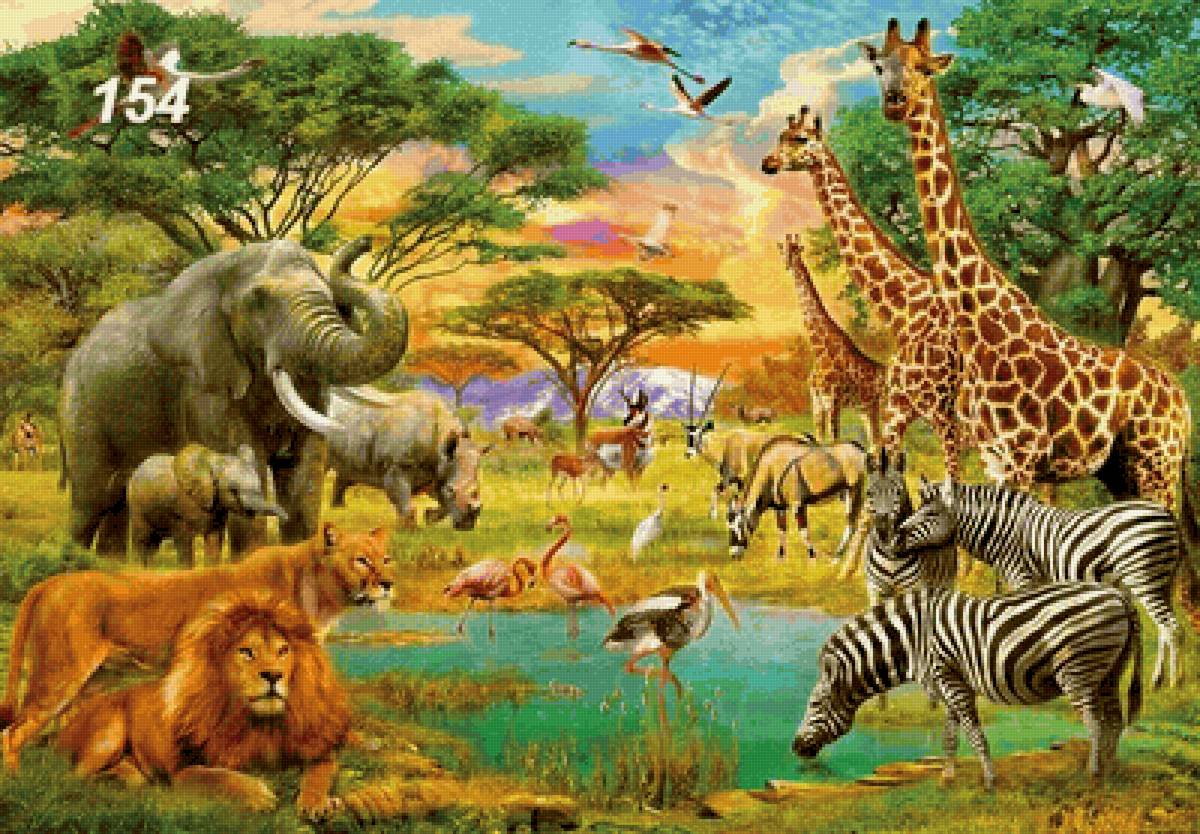 Животные - животные - предпросмотр